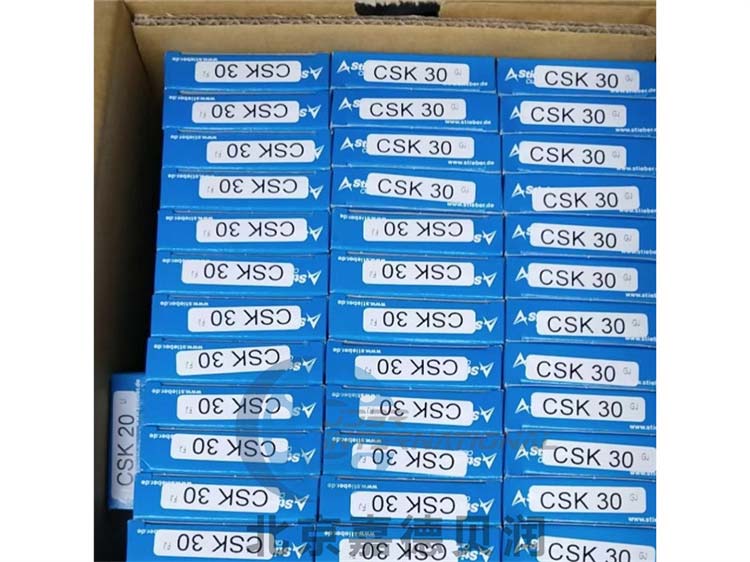 RINZ30德国STIEBER自由轮离合器