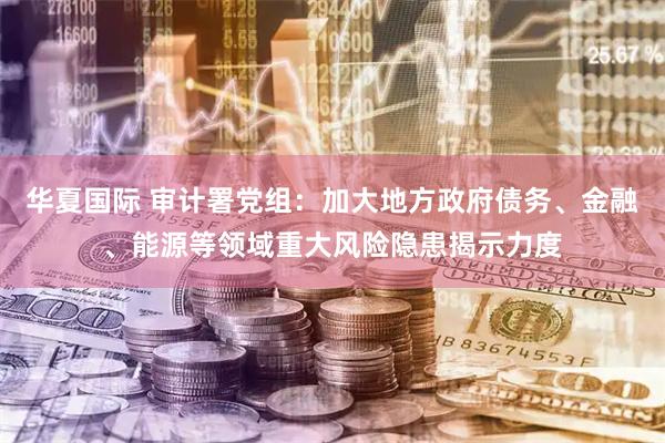 华夏国际 审计署党组：加大地方政府债务、金融、能源等领域重大风险隐患揭示力度