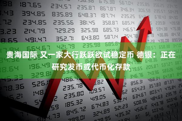 贵海国际 又一家大行跃跃欲试稳定币 德银：正在研究发币或代币化存款