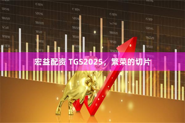 宏益配资 TGS2025，繁荣的切片