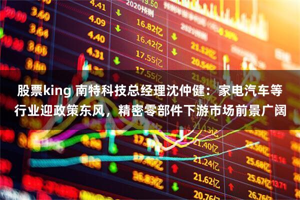 股票king 南特科技总经理沈仲健：家电汽车等行业迎政策东风，精密零部件下游市场前景广阔