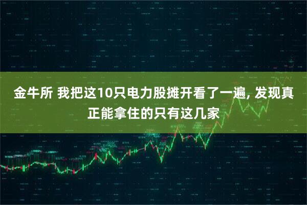 金牛所 我把这10只电力股摊开看了一遍, 发现真正能拿住的只有这几家